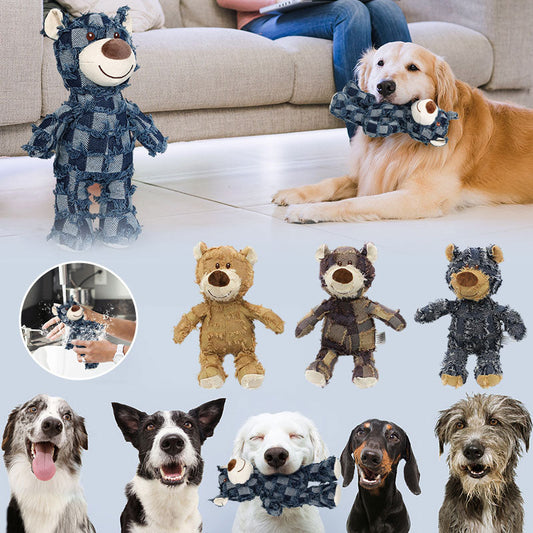 Durable Chew Buddy Bear