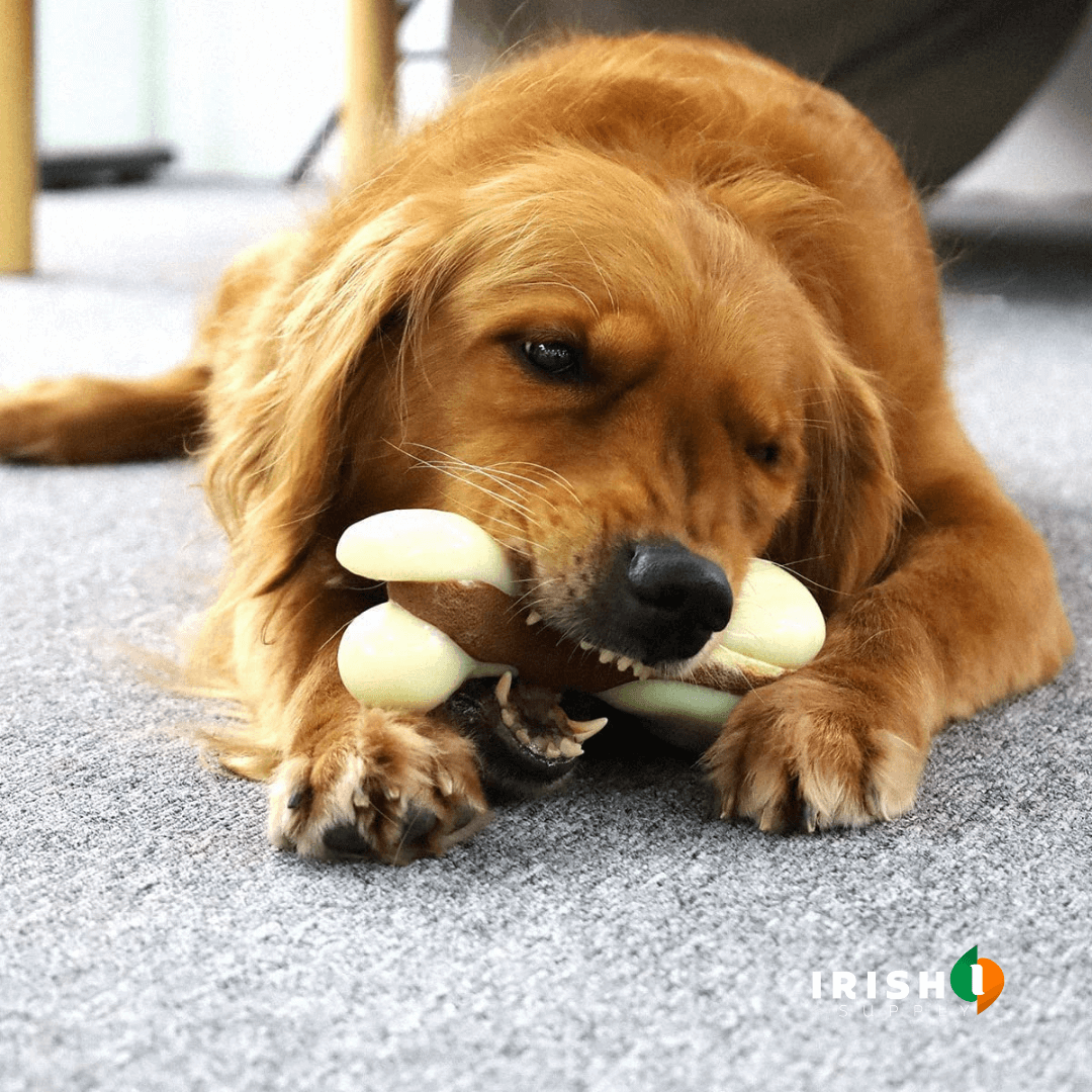 Calm Chew: Dental & Stress Relief Toy