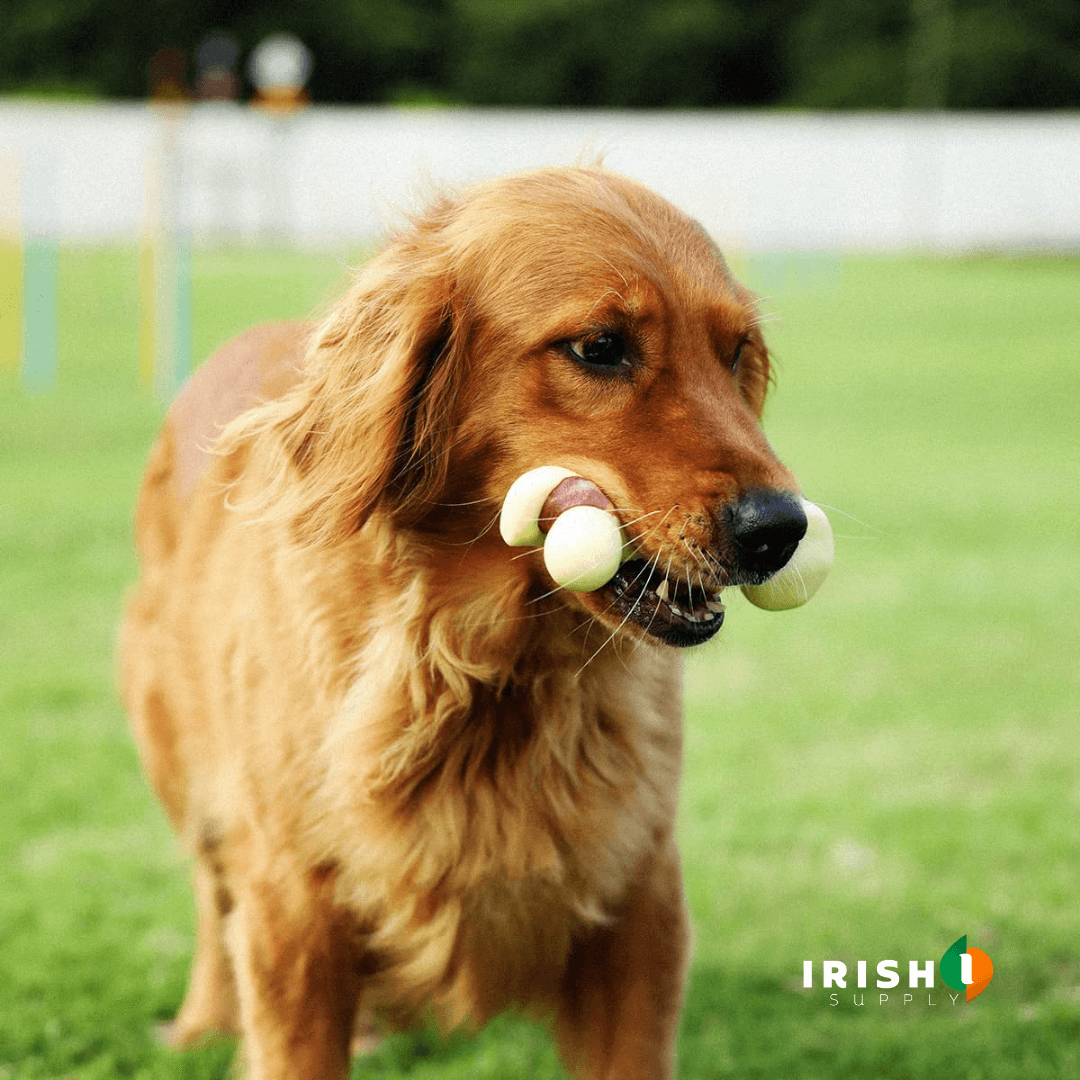 Calm Chew: Dental & Stress Relief Toy