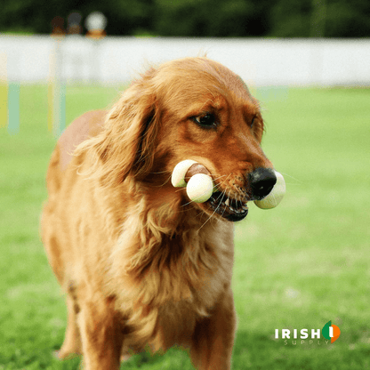 Calm Chew: Dental & Stress Relief Toy