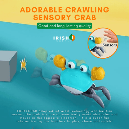 Fun Tummy Time Crawling Crab