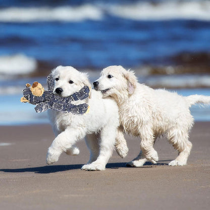 Durable Chew Buddy Bear