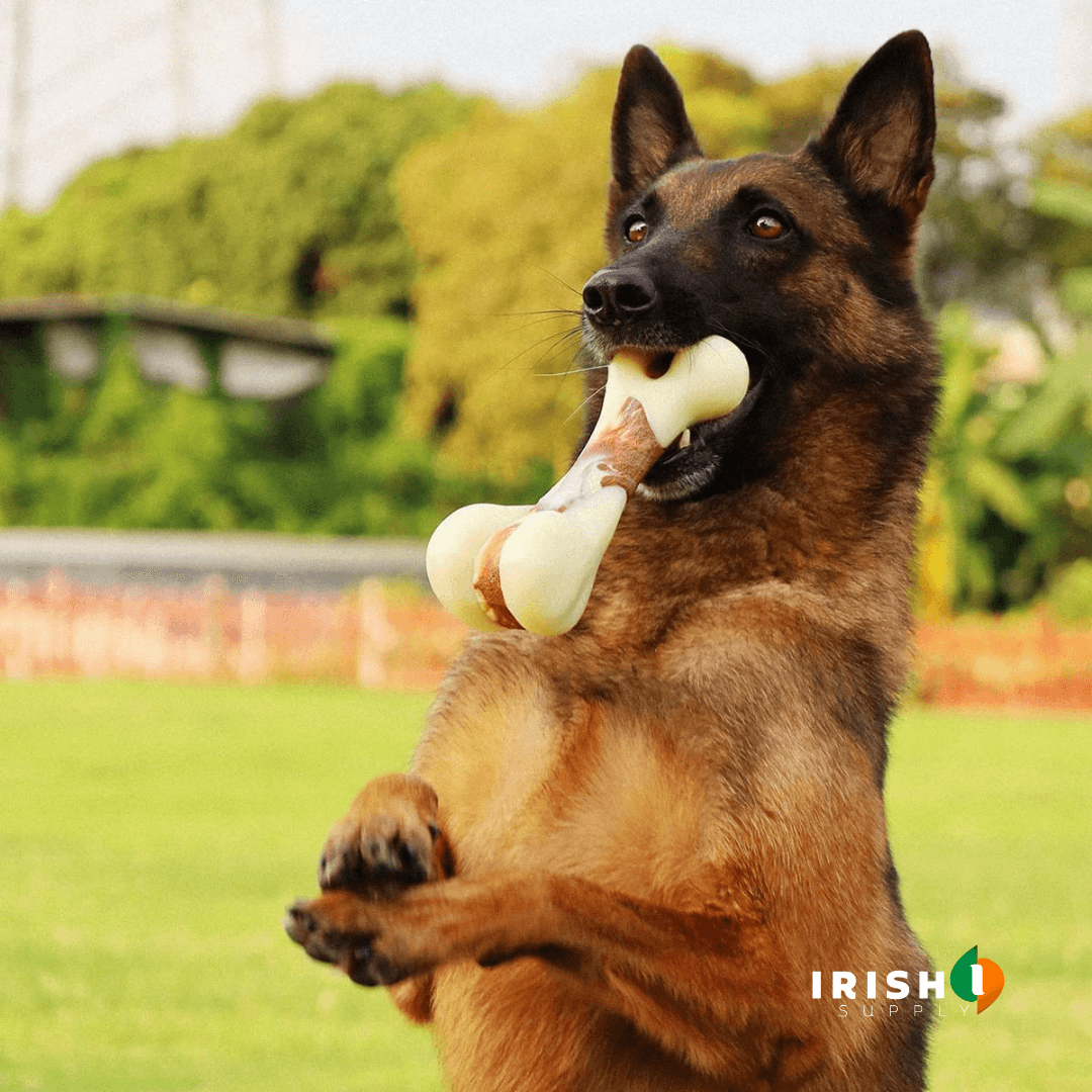 Calm Chew: Dental & Stress Relief Toy