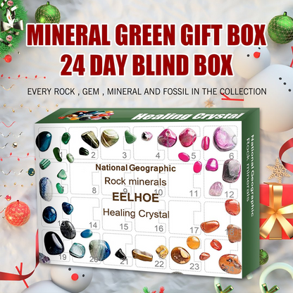 Christmas Countdown Rock & Fossil Kit