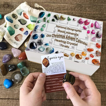 Christmas Countdown Rock & Fossil Kit