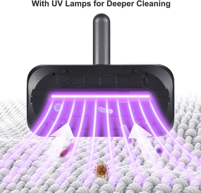 Allergy-Free Home Vacuum