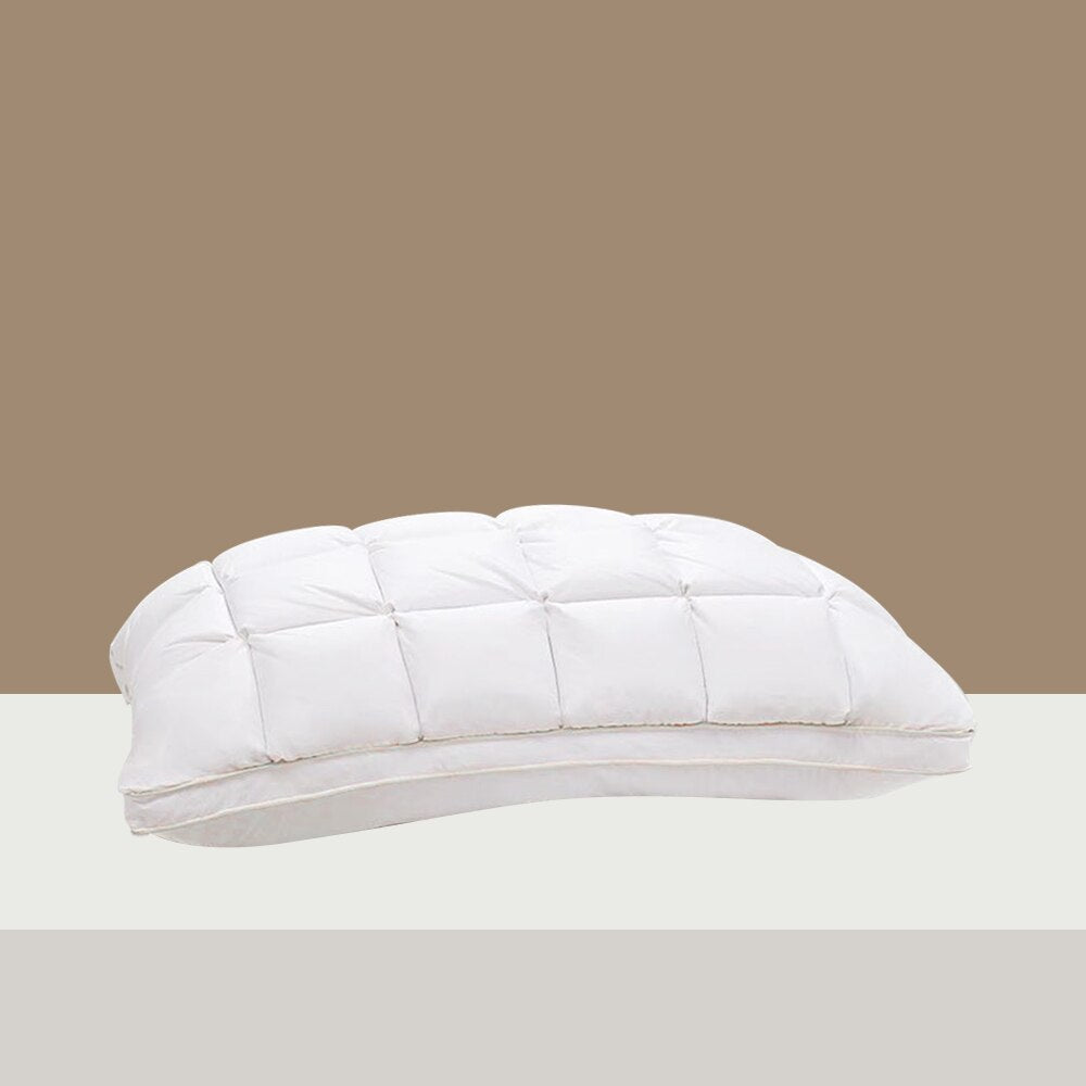 Cloud Comfort Goose Down Pillows